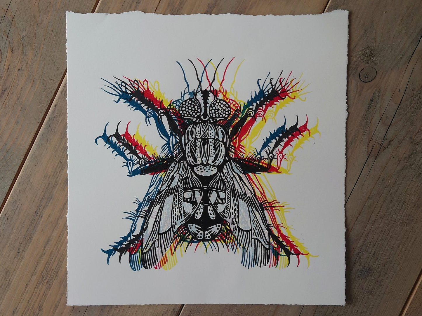 CMFlyK Multi Colour Fly | Limited Edition Handmade Lino Print