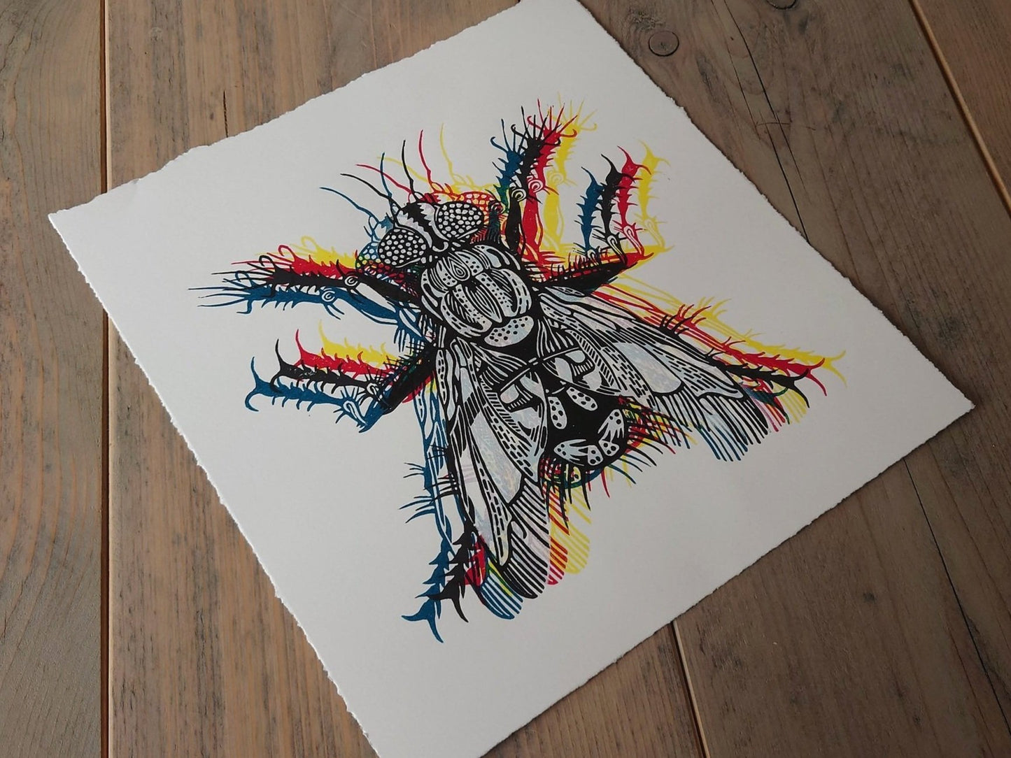 CMFlyK Multi Colour Fly | Limited Edition Handmade Lino Print