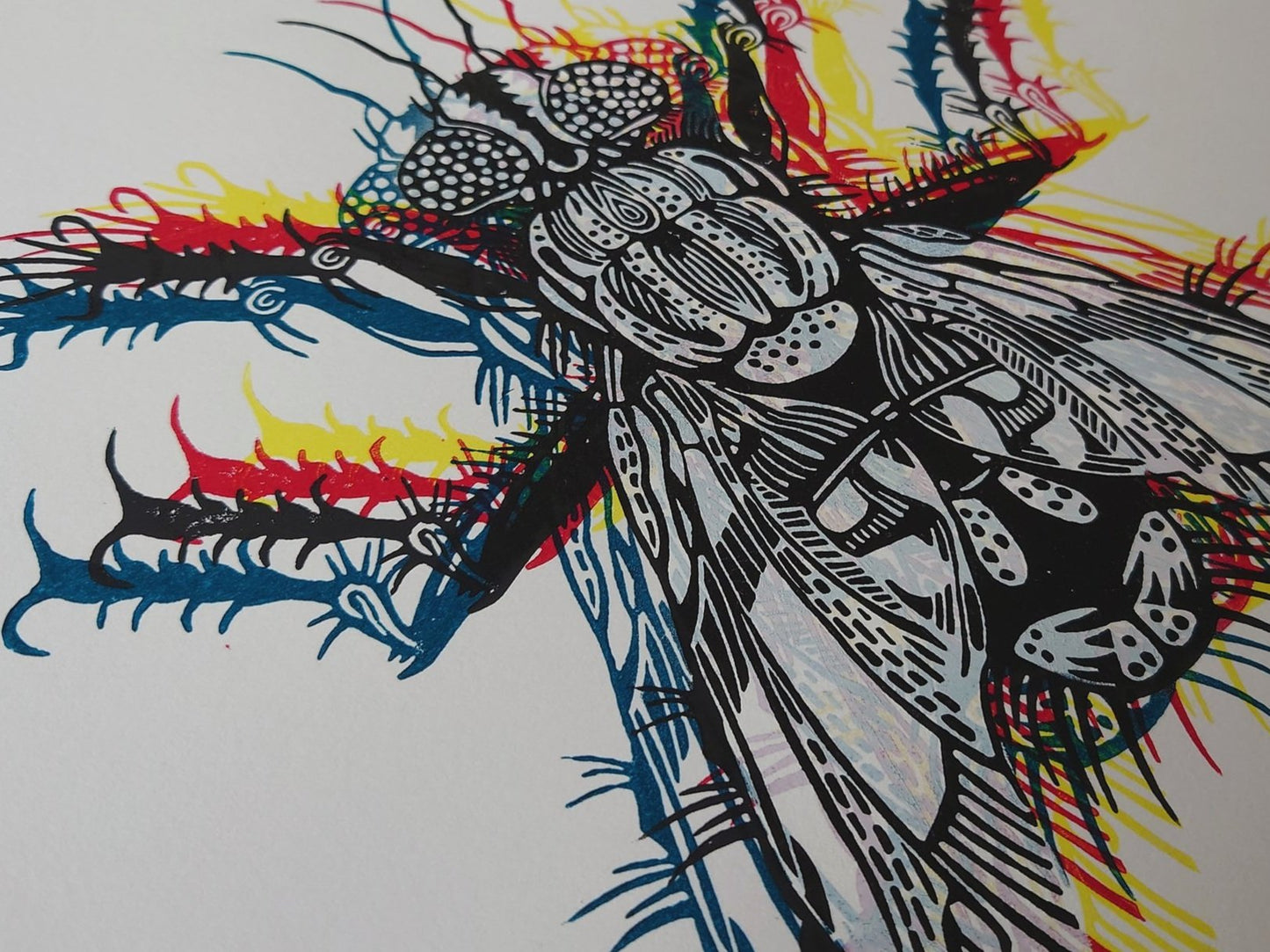 CMFlyK Multi Colour Fly | Limited Edition Handmade Lino Print