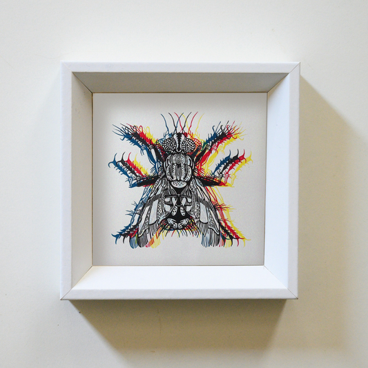 CMFlyK Multi Colour Fly | Limited Edition Handmade Lino Print